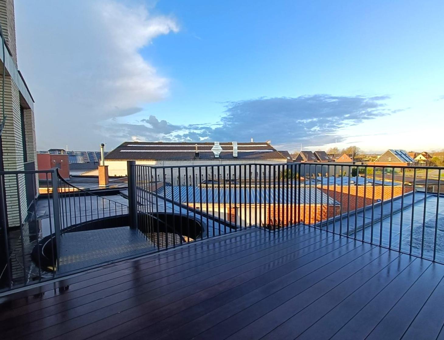 Terrasbalustrade staal